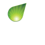 Company Logo footer